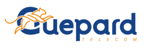 Guepard Telecomunicacions Logo